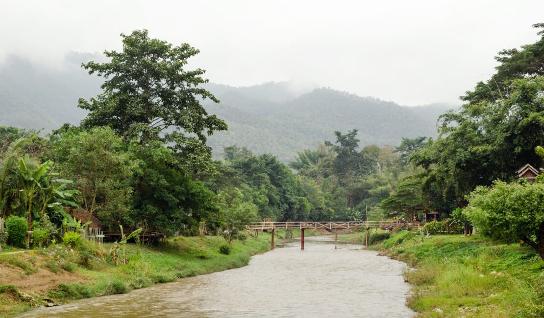 écologie des forêts tropicales